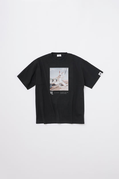 【SUMMER BOX】6月