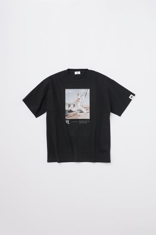 RABBIT OVER T-SHIRT